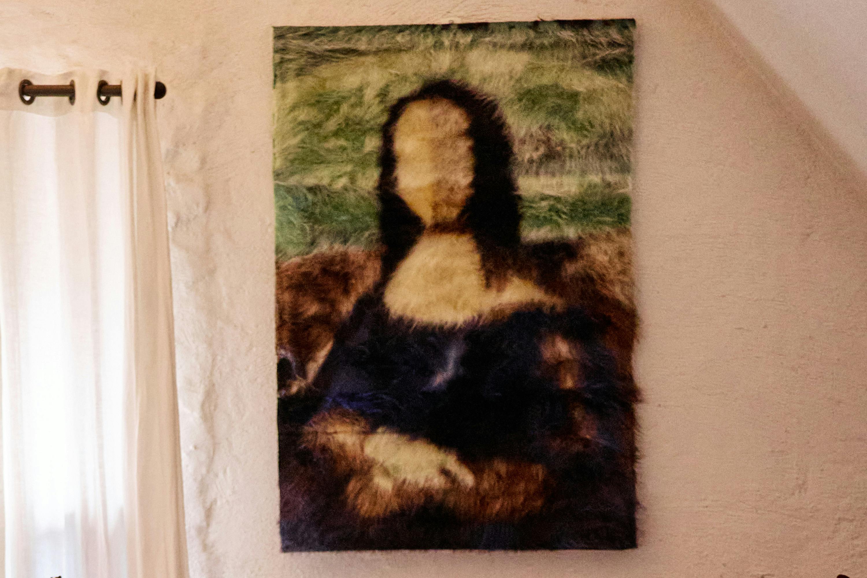 Fluffy Mona Lisa